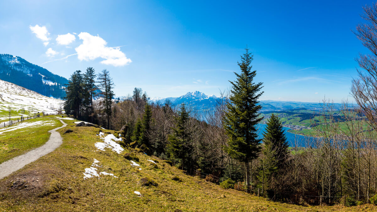 Warsztaty dla uzależnionych i współuzależnionych „Przekonania, które rządzą Twoim życiem (czasem aż za bardzo!)"