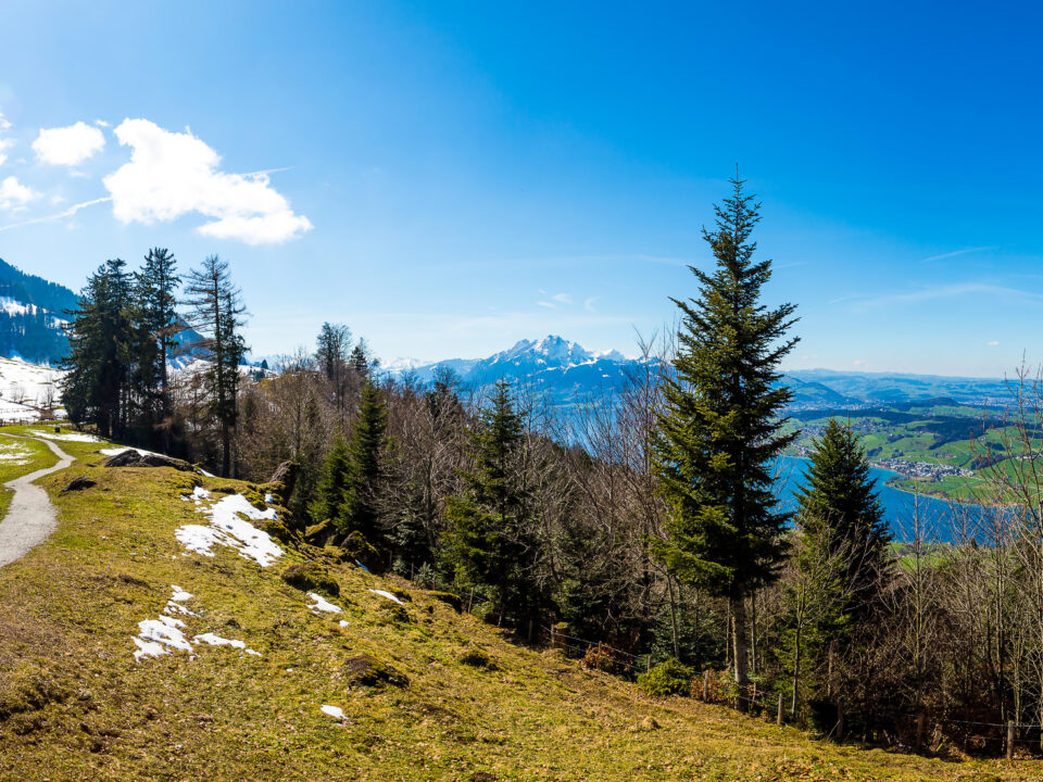 Warsztaty dla uzależnionych i współuzależnionych „Przekonania, które rządzą Twoim życiem (czasem aż za bardzo!)"